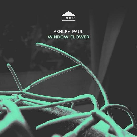 Ashley Paul — Window Flower (May 13, 2020) Ashley Paul — Window Flower (May 13, 2020)