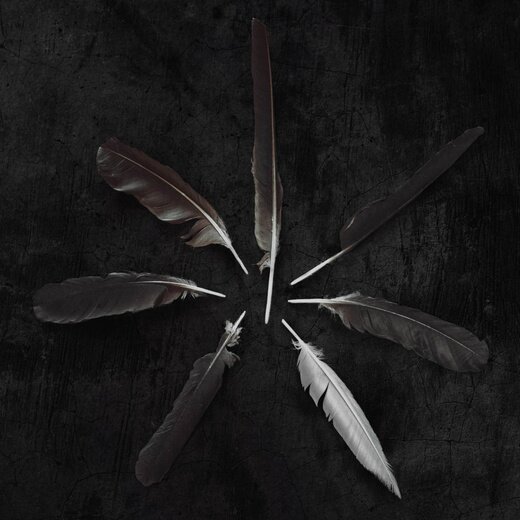 Caspian — Dust and Disquiet (Sept. 25, 2015) Caspian — Dust and Disquiet (Sept. 25, 2015)