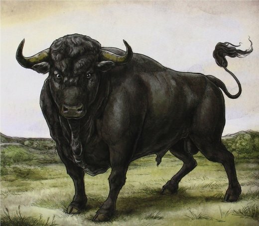 San Fermin — San Fermin (Nov. 11, 2013) San Fermin — San Fermin (Nov. 11, 2013)