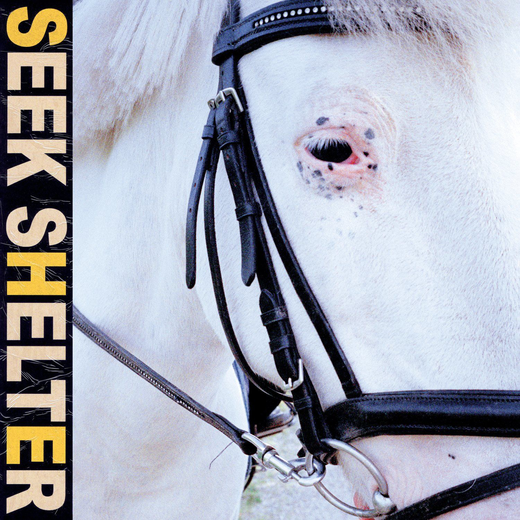 Iceage — „Seek Shelter“ (May 7th, 2021) Iceage — „Seek Shelter“ (May 7th, 2021)