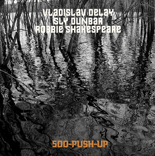 Vladislav Delay, Sly Dunbar, Robbie Shakespeare — 500~Push~Up Vladislav Delay, Sly Dunbar, Robbie Shakespeare — 500~Push~Up