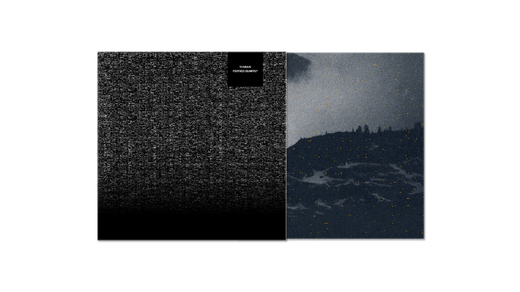 Portico Quartet — „Terrain“ (May 28, 2021) Portico Quartet — „Terrain“ (May 28, 2021)