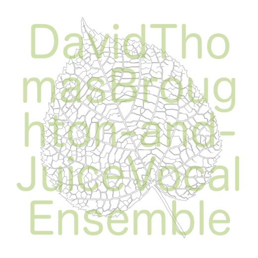 David Thomas Broughton & Juice Vocal Ensemble — Sliding The Same David Thomas Broughton & Juice Vocal Ensemble — Sliding The Same