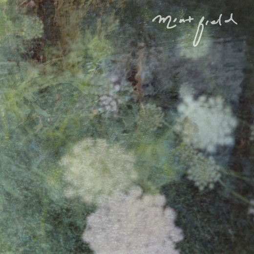 Mint Field — Sentimiento Mundial (25 Sept., 2020) Mint Field — Sentimiento Mundial (25 Sept., 2020)