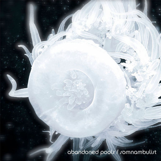 Abandoned Pools — Somnambulist (2013) Abandoned Pools — Somnambulist (2013)