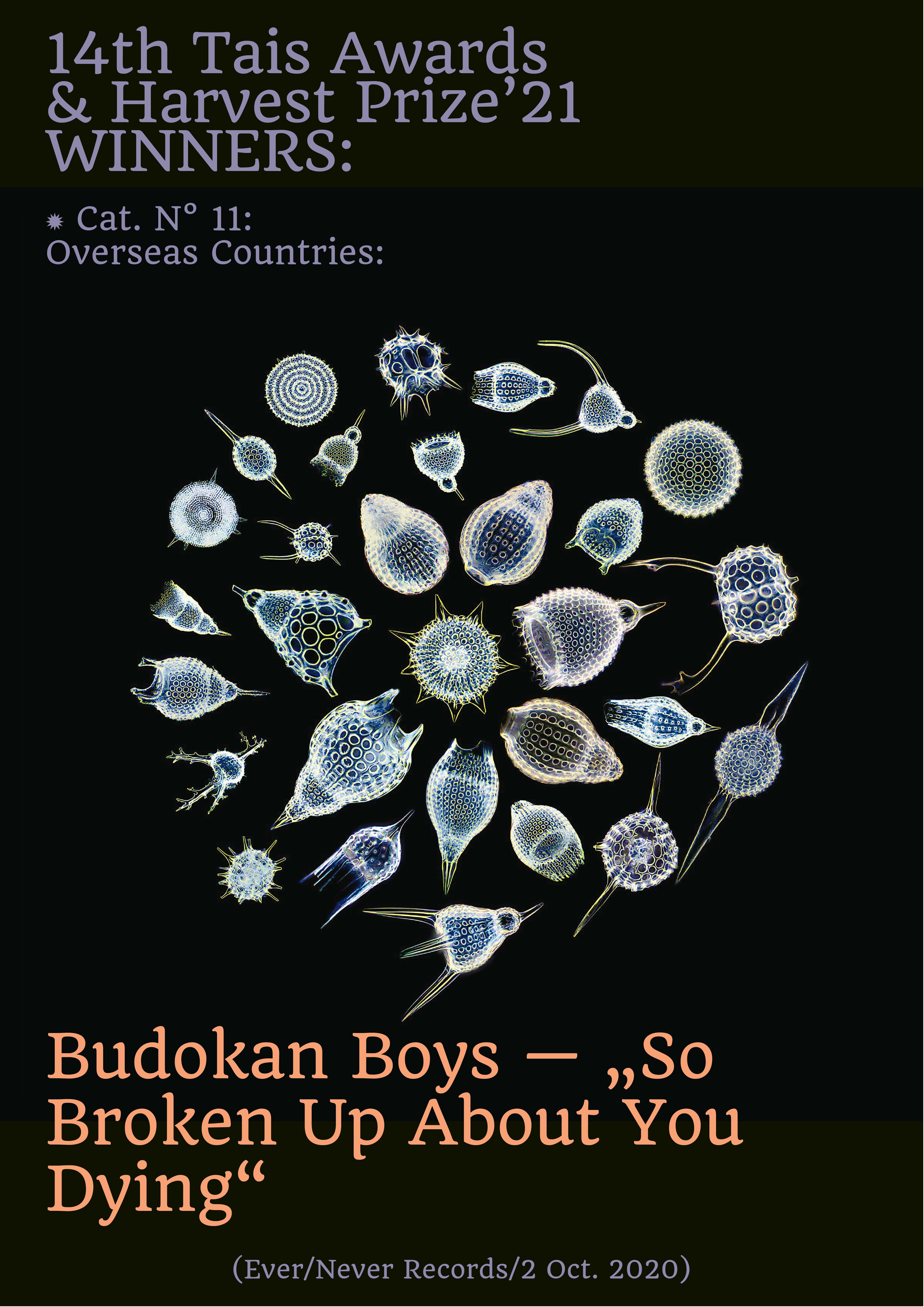 ✹ Cat. N° 11 Overseas Countries Budokan Boys — „So Broken ✹ Cat. N° 11 Overseas Countries Budokan Boys — „So Broken