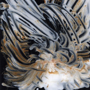 Kassel Jaeger — Le Lisse et le Strié (May 9, 2019) Kassel Jaeger — Le Lisse et le Strié (May 9, 2019)